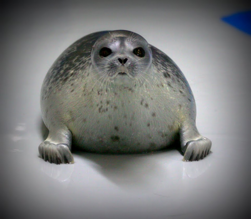 5341y_53415 profile image