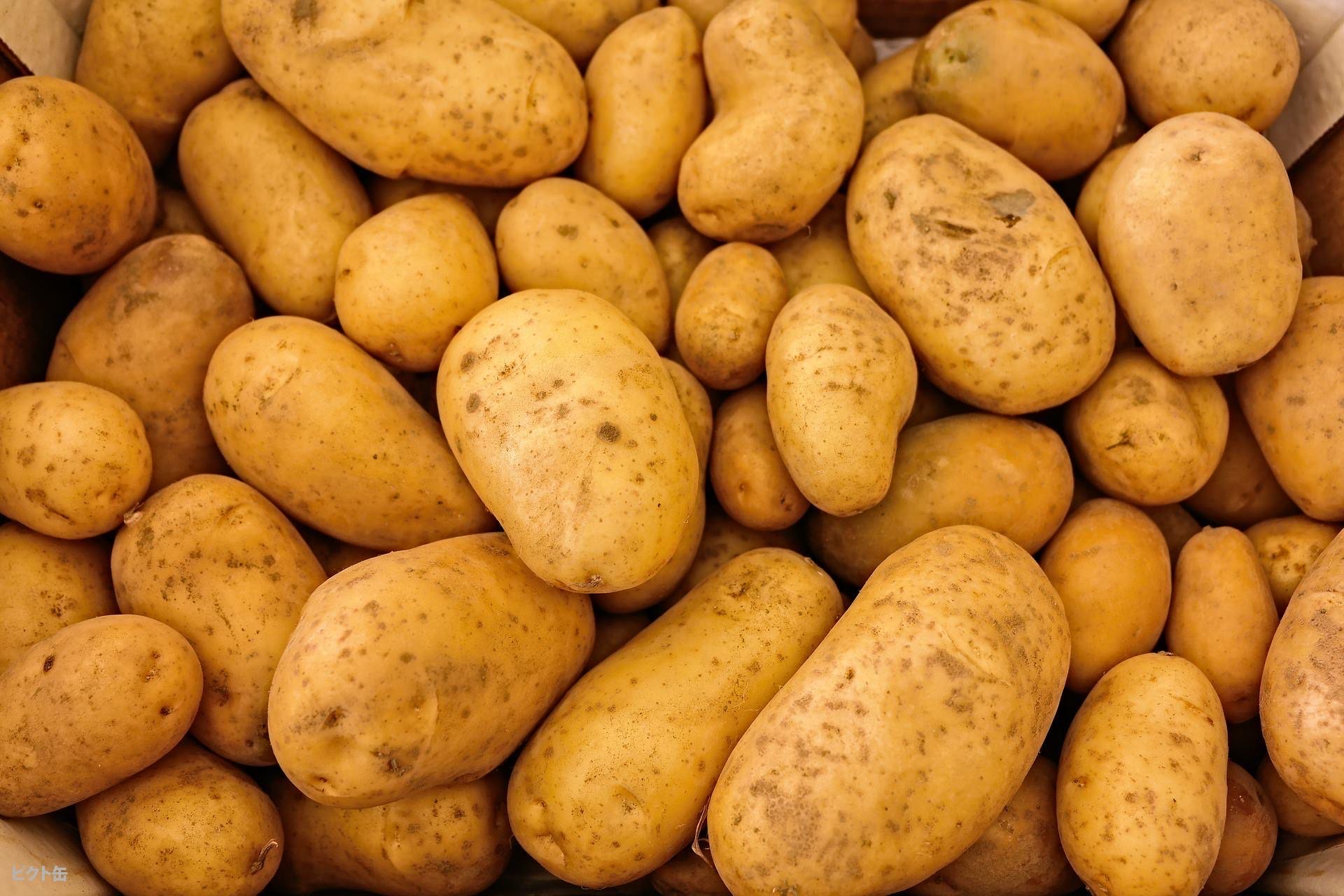 potato1938 profile image