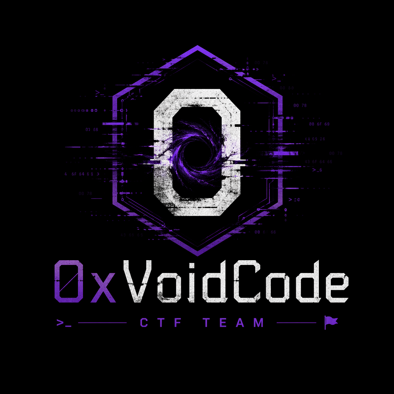 0xVoidCode logo