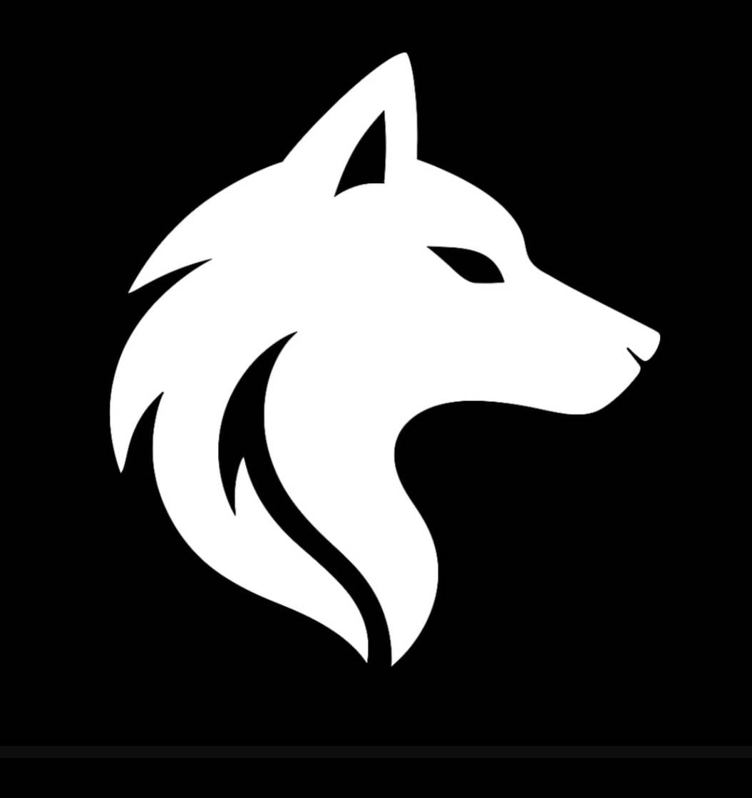 Dacia Team logo